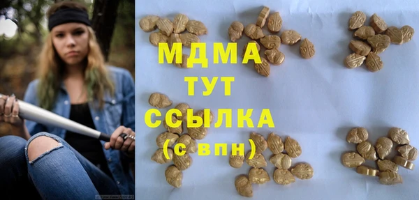 мдпв Кодинск