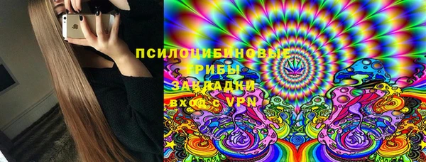 мдпв Кодинск