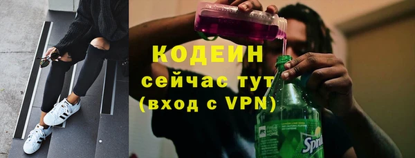 мдпв Кодинск