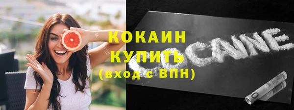 мдпв Кодинск