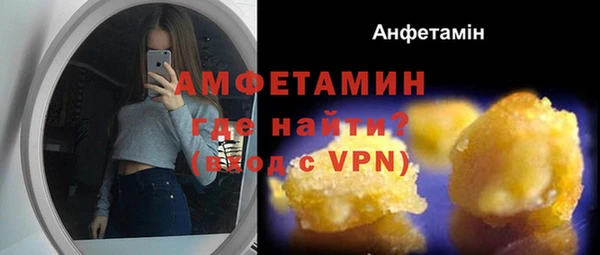 мдпв Кодинск