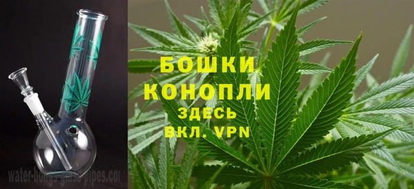 мдпв Кодинск