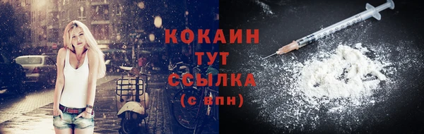 мдпв Кодинск